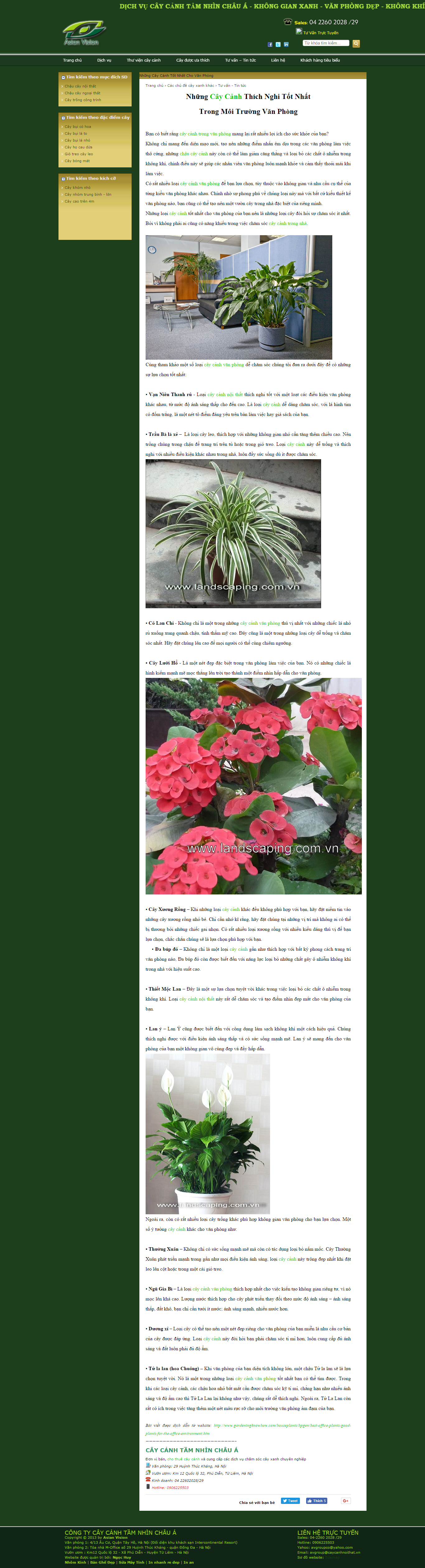 Thiết kế Web cây cảnh caycanhnoithat.vn